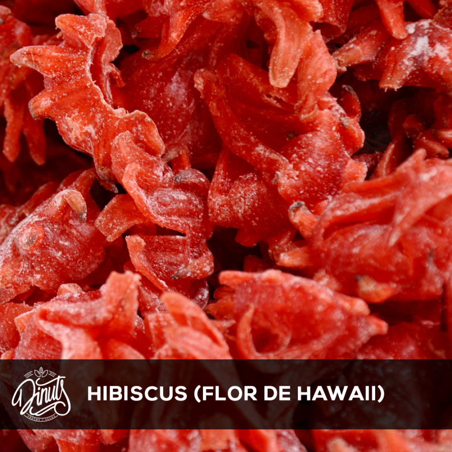 Hibiscus (Flor de Hawaii)